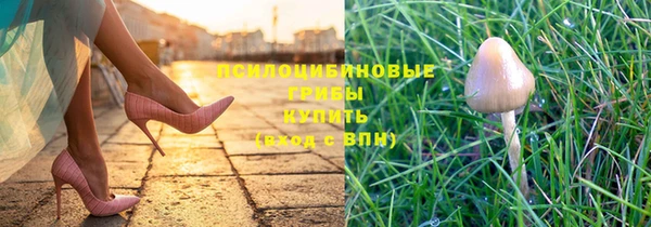 стафф Балахна
