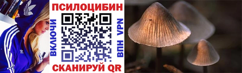 нарко площадка официальный сайт  MEGA зеркало  Семилуки  купить закладку  Псилоцибиновые грибы Psilocybe 